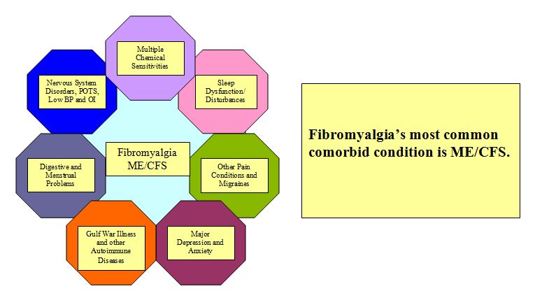 File:Fibromyalgia and comorbid conditions.JPG