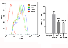 Fig 4. Wild type versus varCCL4 in the down-regulation of CCR5 in a 9 day mixed lymphocyte culture