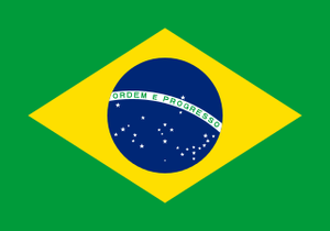 Brazil flag.svg.png