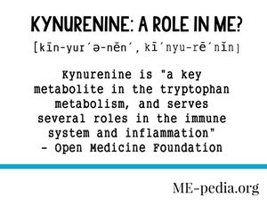 Kynurenine a role ME CFS.jpg