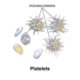 Illustration of platelets