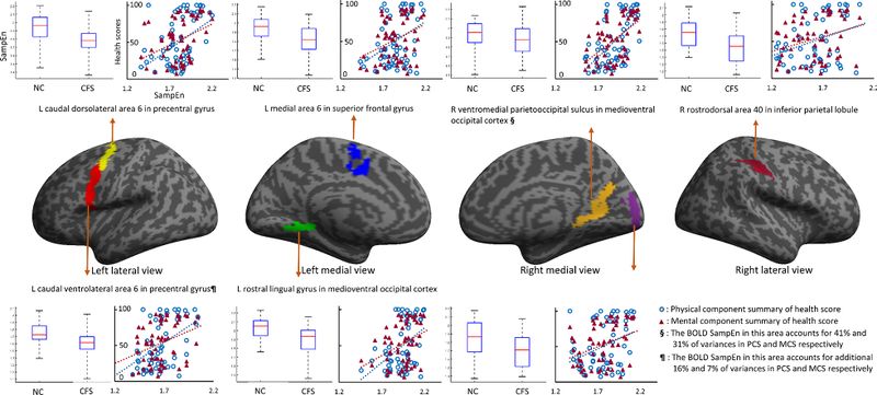 File:Brain function characteristics of chronic fatigue syndrome A task fMRI study (2018).jpeg