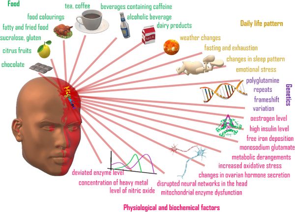 Migraine triggers. Source: Biomedicine & Pharmacotherapy, 139, 111557[4]