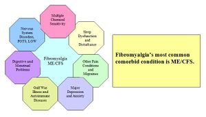 Comorbids and overlapping conditions of fibromyalgia.jpg