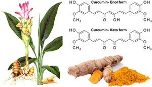 Turmeric and curcurmin.jpg